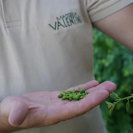 Masseria Valentina Отель Остуни